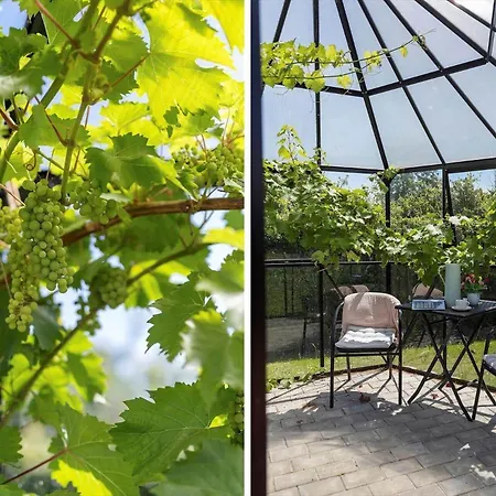 Holiday home Ll257-humble-anemonevaenget-4 *