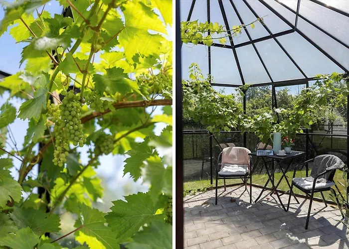 Ll257-humble-anemonevaenget-4 Vakantiehuis